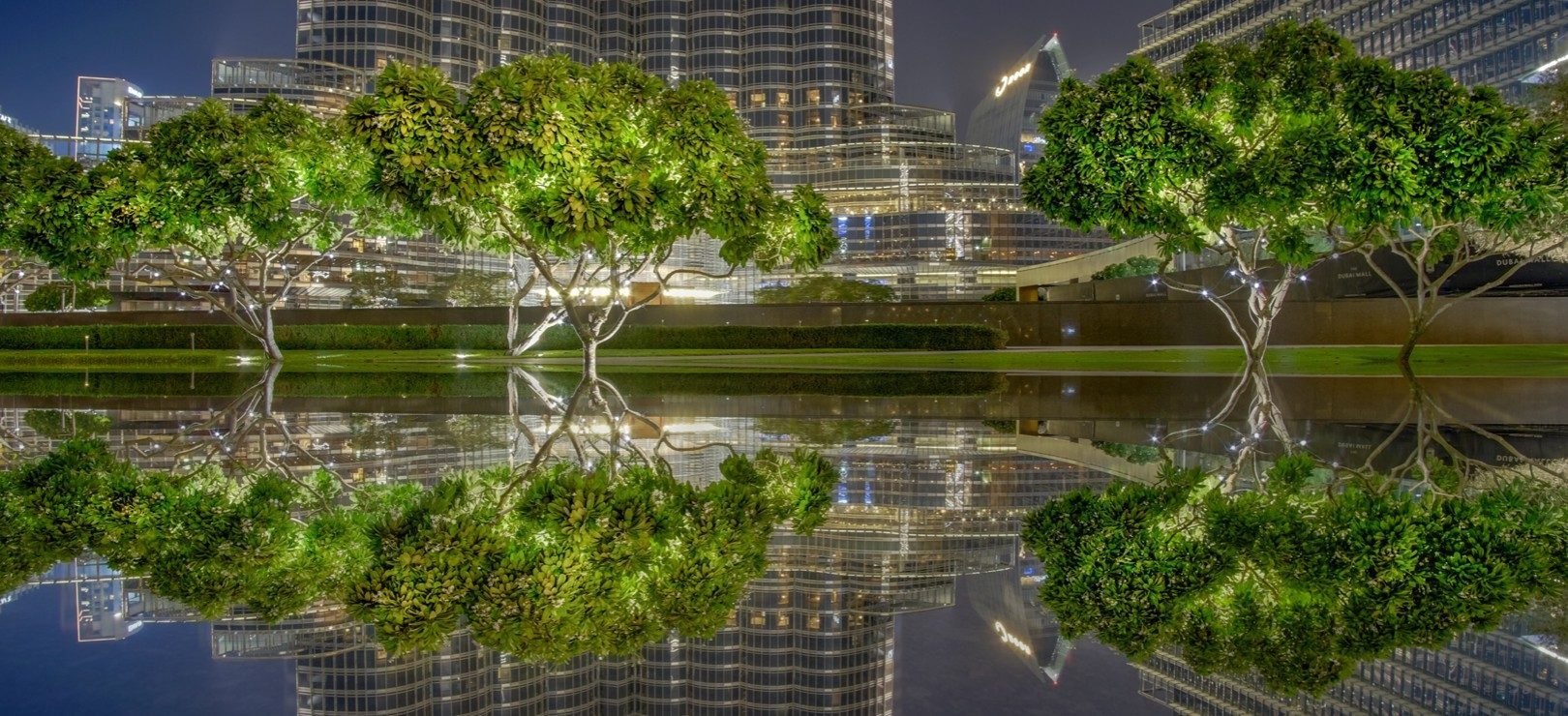 environmental-policy-hero-1620x740 - resize