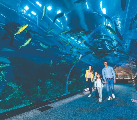 Dubai Aquarium & Underwater Zoo Water Recycling