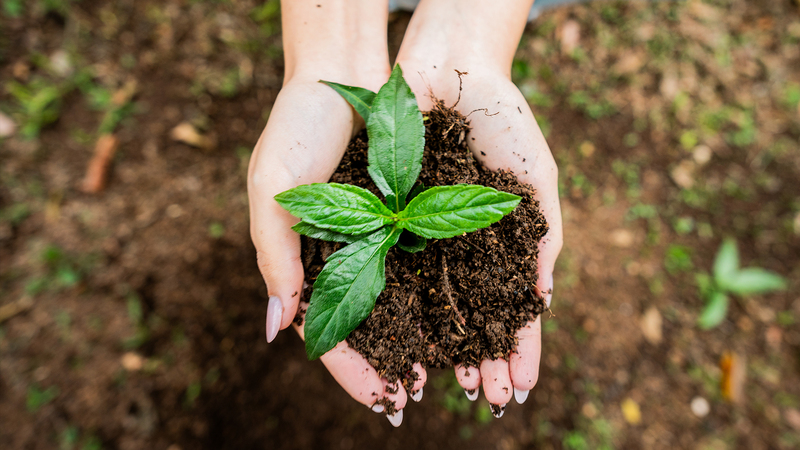 SUSTAINABILITY